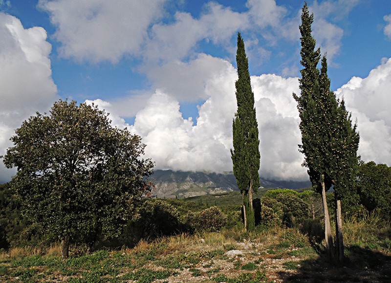 Konavle Valley13